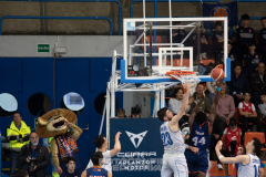 Fotogaleria-CBTizona-vs-CBElPrat-9