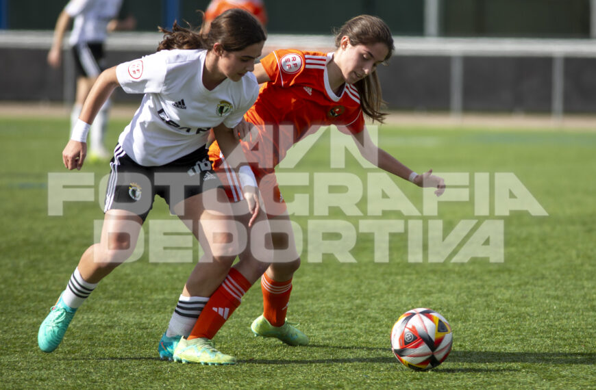 TERCERA RFEF FUTFEM / JORNADA 20 / BURGOS C.F. FEMENINO vs C.D. PARQUESOL DE VALLADOLID