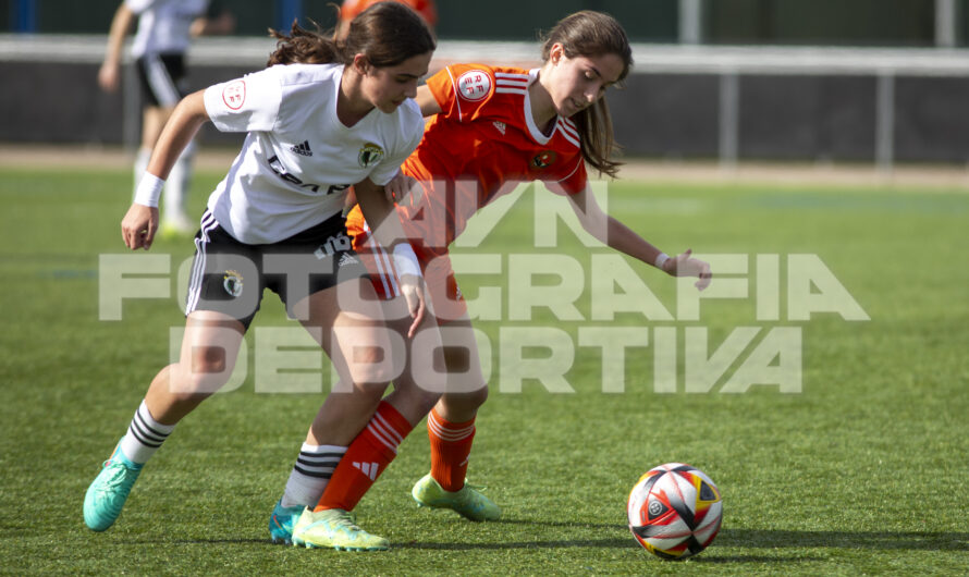 TERCERA RFEF FUTFEM / JORNADA 20 / BURGOS C.F. FEMENINO vs C.D. PARQUESOL DE VALLADOLID