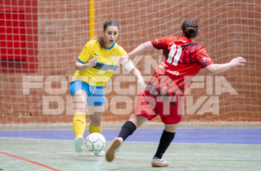 PRIMERA DIVISIÓN REGIONAL FÚTBOL SALA / JORNADA 19 / VADILLOS C.F. vs C.D. SEGOLSALA «B»