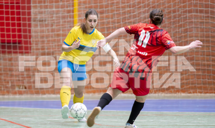 PRIMERA DIVISIÓN REGIONAL FÚTBOL SALA / JORNADA 19 / VADILLOS C.F. vs C.D. SEGOLSALA «B»