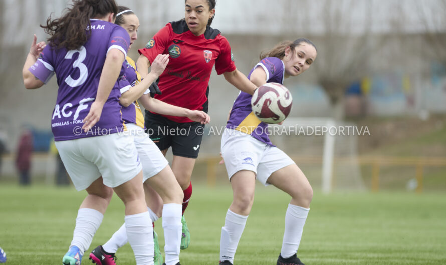 LIGA GONALPI / JORNADA 21 / CAPISCOL C.F. – C.D. PALENCIA FÚTBOL FEMENINO