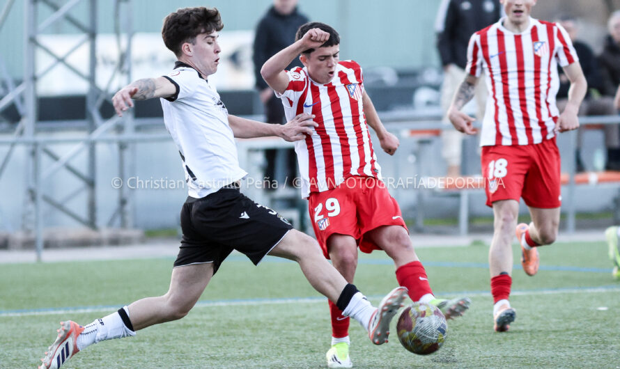 DIVISIÓN DE HONOR JUVENIL / GRUPO V / JORNADA 22 / BURGOS C.F. – CLUB ATLÉTICO DE MADRID